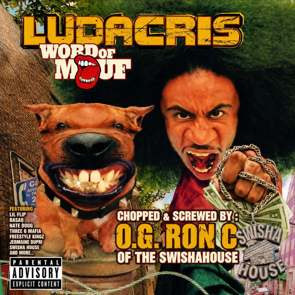 Swishahouse - Ludacris - Word Of Mouf (Swisha House Remix) cover