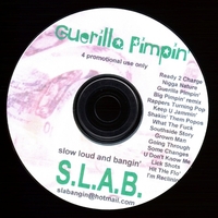 (200x) S.L.A.B. - Guerilla Pimpin`