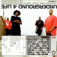 (2002) S.L.A.B. - Slow Loud And Bangin, Volume 2